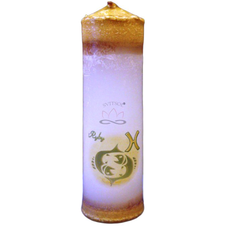 Svíčka ZNAMENÍ VÁLEC Ryby