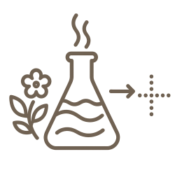 Fragrance composition - SUMMER - Summer refreshment